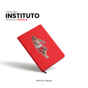 Alarcón Ascenso Torna - MAX